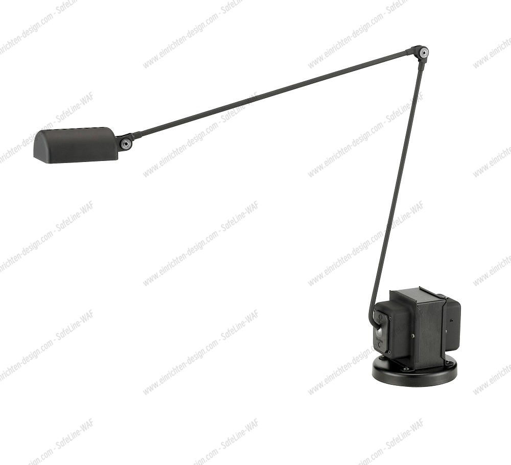 Lumina Daphine LED Floor Black ルミナ ダフィーネ LED フロア